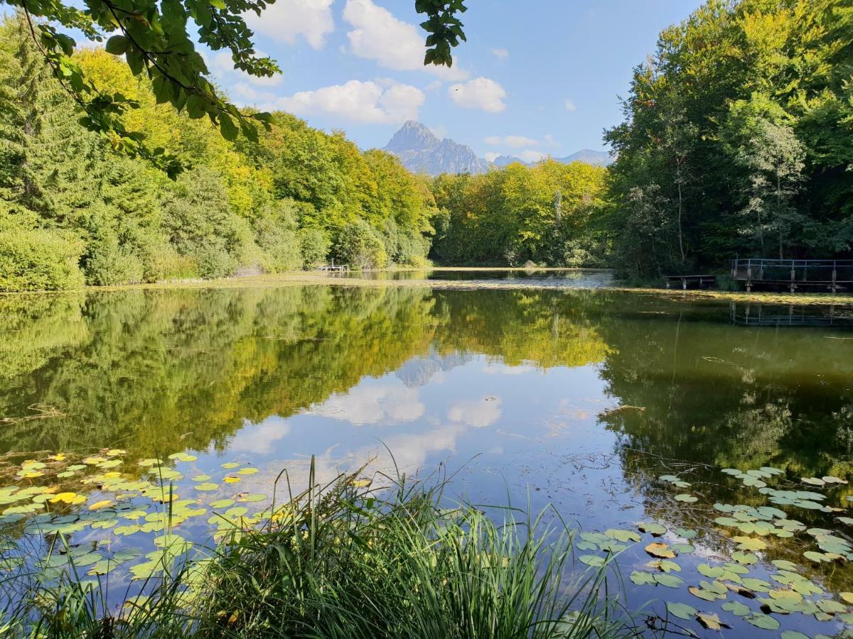 Entre Lac Et Montagnes Bernex Buitenkant foto
